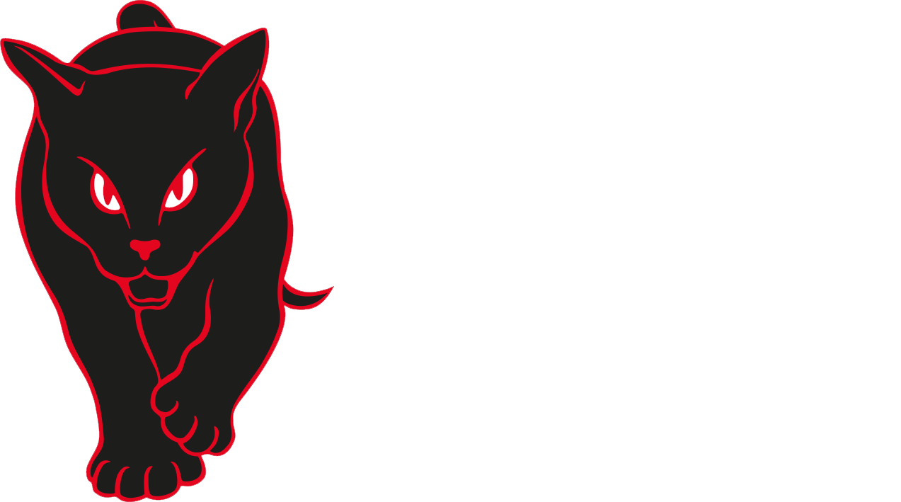 black-cats-business-club black-cats-business-club